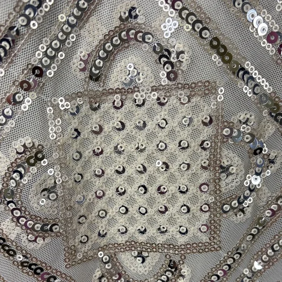 NWT Unique Vintage Beige Sequin Dress with Fringe Size XL - Picture 4 of 14